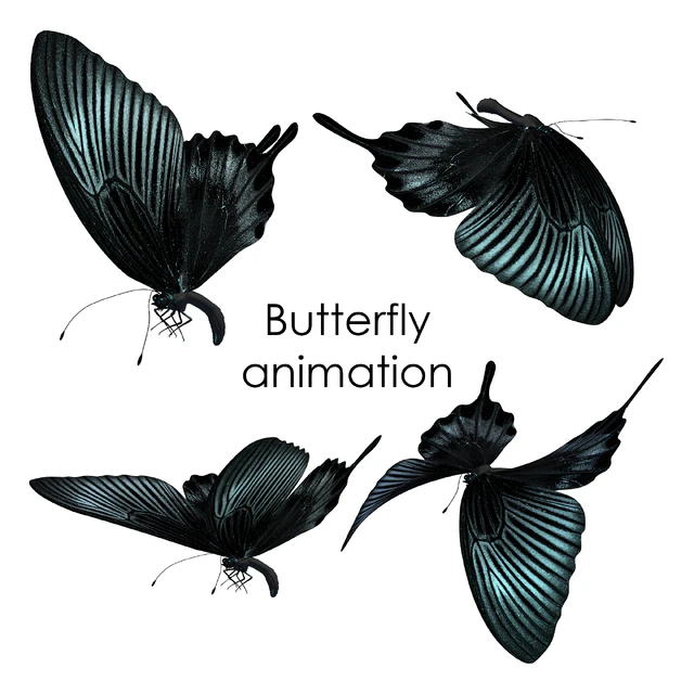 Butterfly animation — Descargar