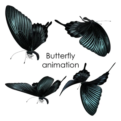 Butterfly animation — Descargar