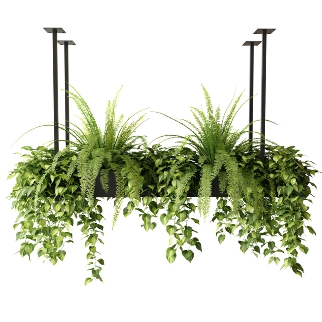 Indoor plants in a hanging rectangular planter — Descargar