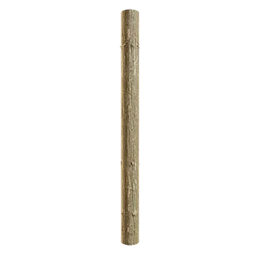 spruce branch bark 002 — Скачать