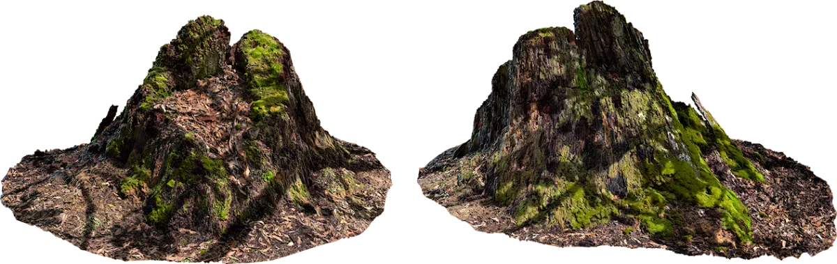 mossy wood stump 001 — Descargar