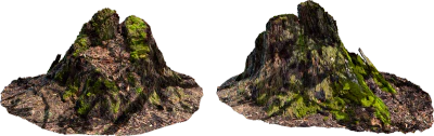 mossy wood stump 001 — Descargar