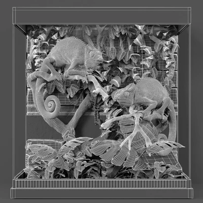 Terrarium — Ver 2