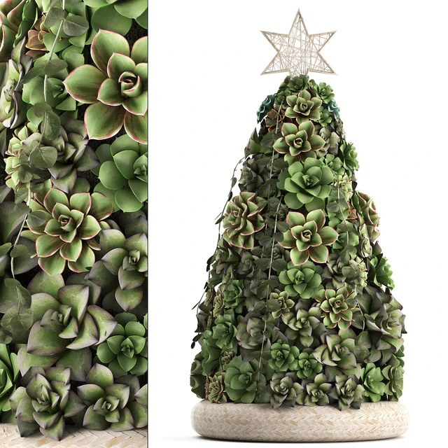 Plant Collection 420. succulents, Christmas tree, cake, Echeveria — Download