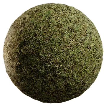 uncut grass 005 — Descargar
