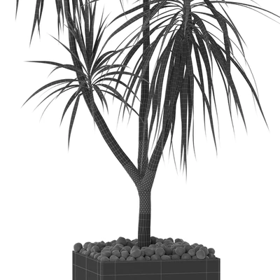 Plants collection 392 — Вид 2