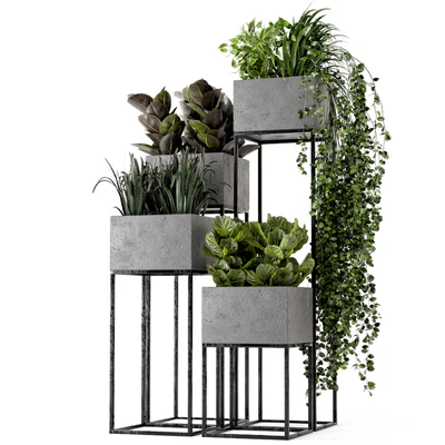 Indoor Plants in rusty Concrete Pot on Metal Shelf - Set 221 — Ver 3