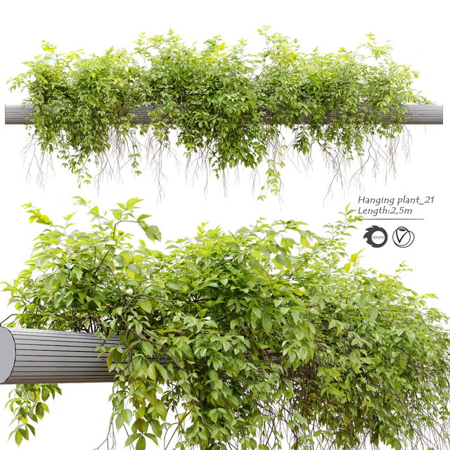 Hanging Plant 21 — Descargar