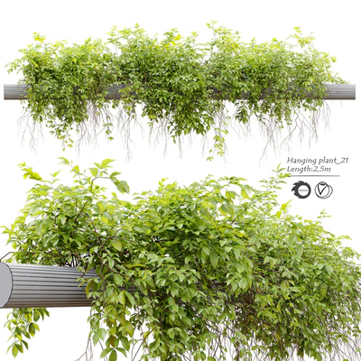 Hanging Plant 21 — Ver 1