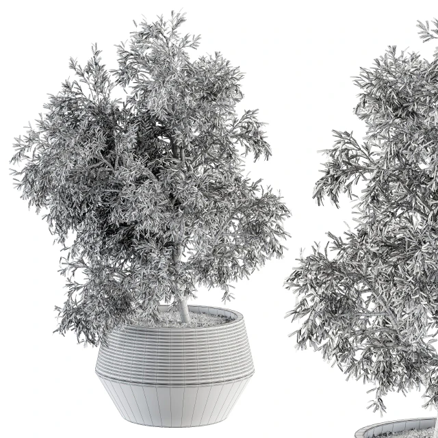 indoor Plant Set 285 - Plants Set in pot — Скачать
