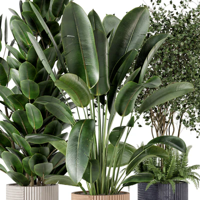 Indoor Planters in Cecilia Ficonstone Pot - Set 350 — Вид 3
