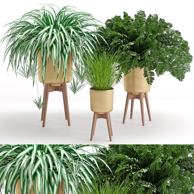 Houseplant 30 — Ver 1