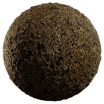 dried grass on damp soil 004 — Скачать