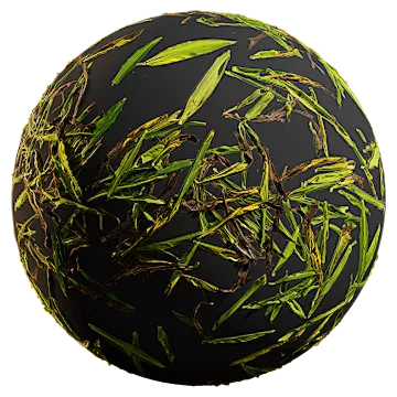 canna plant 001 — Скачать