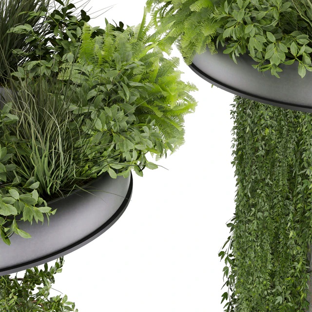Collection plant vol 532 - bush - ampelous - column - fitowall - ivy — Скачать