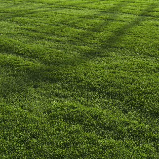 Garden Lawn — Descargar