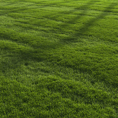 Garden Lawn — Ver 5