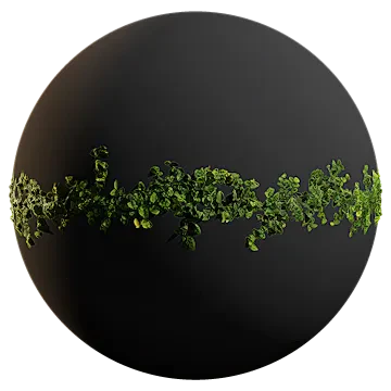 climbing fig 007 — Descargar