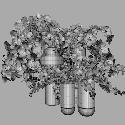 Flower Set 009 Orchids. — Вид 2