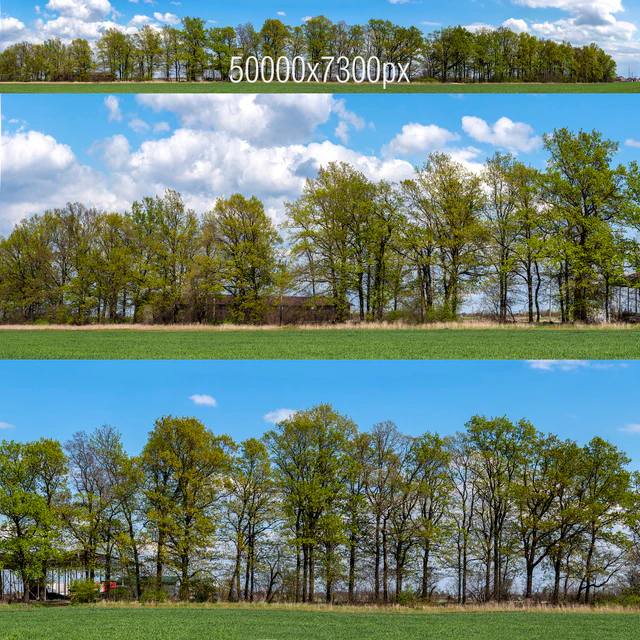 Panorama with Trees v2. 50k — Descargar