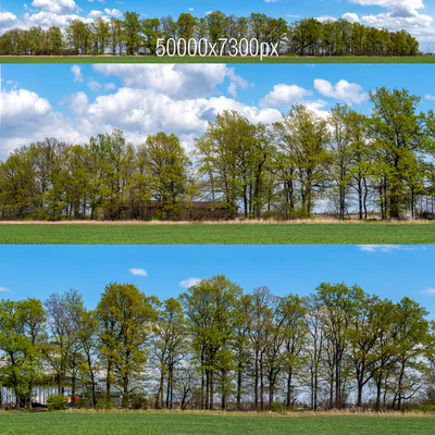 Panorama with Trees v2. 50k — Ver 1