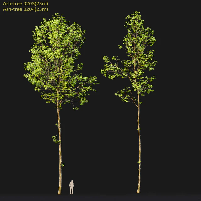 Ash — Descargar