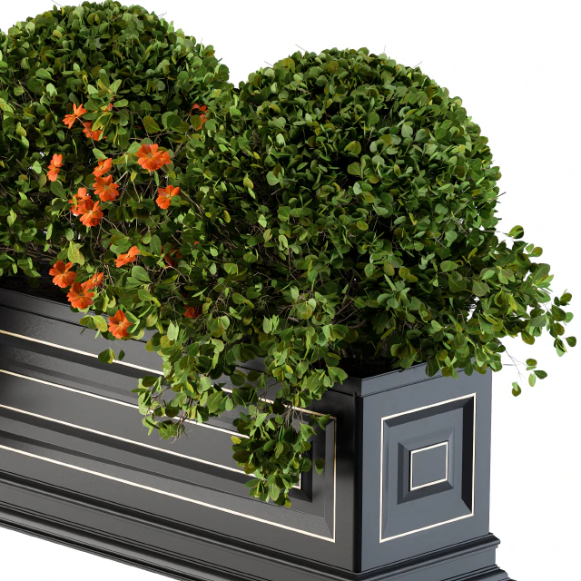 Planter Box For Windows Classic — Descargar