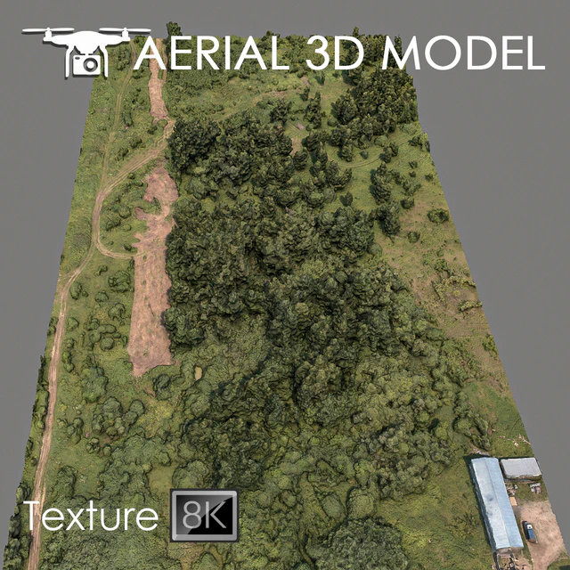 Forest 75 — Download