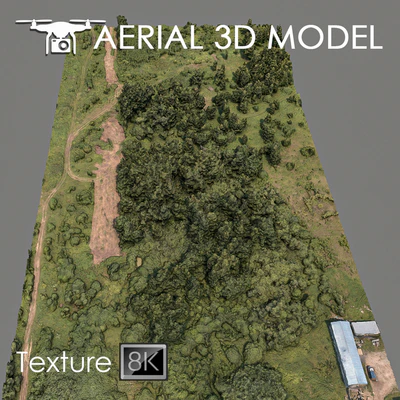 Forest 75 — View 4