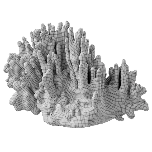 Regina Andrew White Resin Coral Decorative Sculpture — Descargar