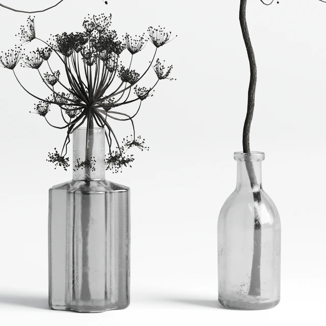 Bouquet Set 01 Vase Glass Dry Hogweed — Скачать