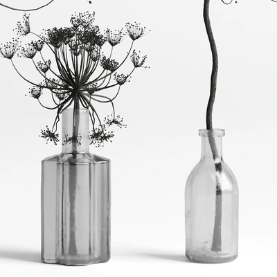Bouquet Set 01 Vase Glass Dry Hogweed — Вид 3
