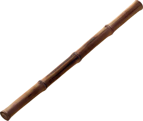 bamboo stick 004 — Descargar