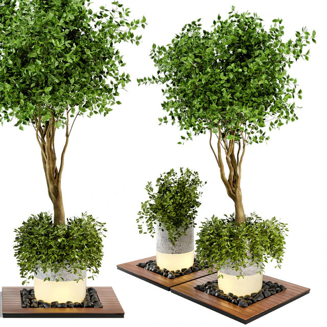 Outdoor Plants bush & Tree Combination of wood & concrete  Pot - Garden Set 45 — Скачать