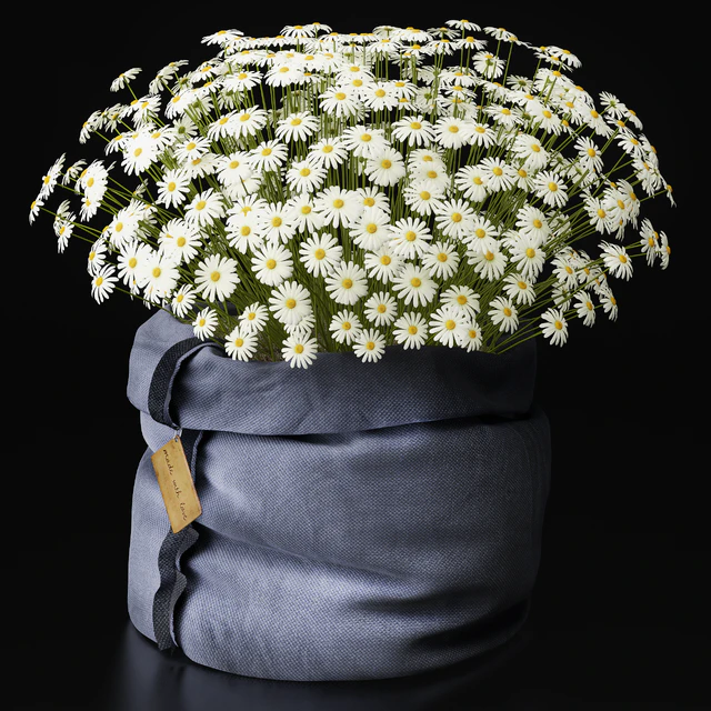 Chamomile ,,, with love ,,,, — Descargar