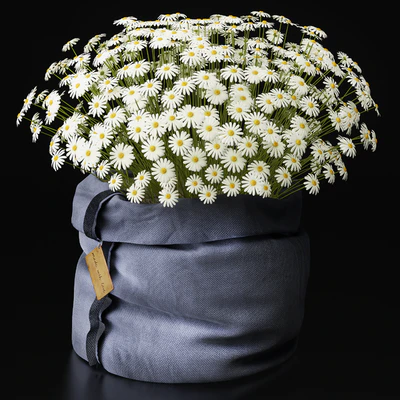 Chamomile ,,, with love ,,,, — Ver 1