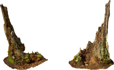 wooden stump 001 — Descargar