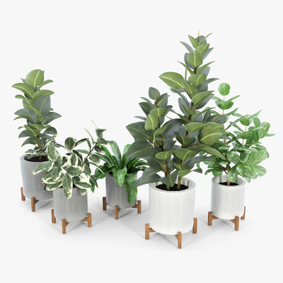 Bungalow Planter Collection — Вид 5