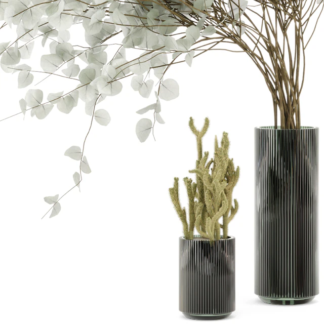 Indoor Plants  Cactus & Eucalyptus whit Glass Pots - Set 38 — Скачать