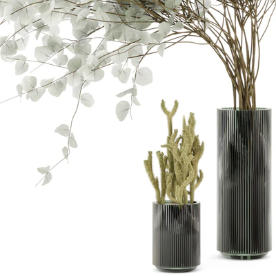 Indoor Plants  Cactus & Eucalyptus whit Glass Pots - Set 38 — Вид 4