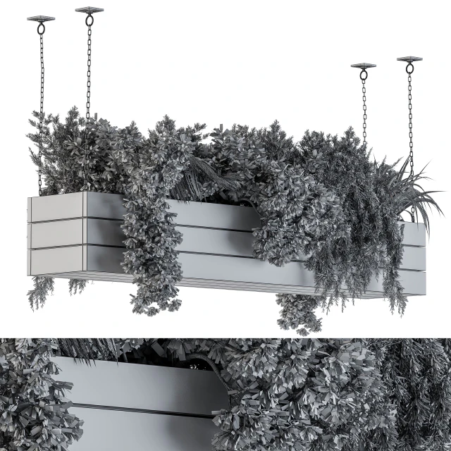 Hanging Plants in Wooden Box — Descargar