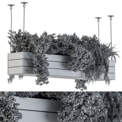 Hanging Plants in Wooden Box — Ver 3
