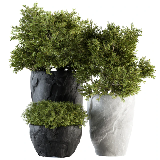 Outdoor Plants tree in Rock Pot - Set 136 — Скачать