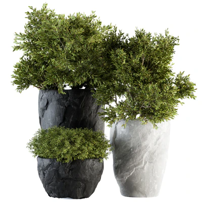 Outdoor Plants tree in Rock Pot - Set 136 — Вид 1