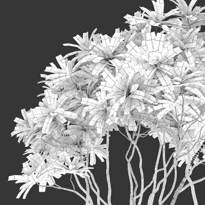 Frangipani tree — Ver 2