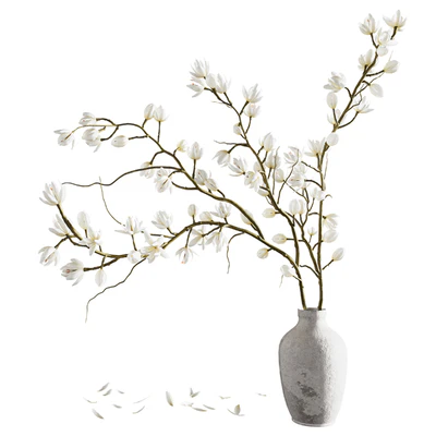 Plants collection set 9 — Ver 1