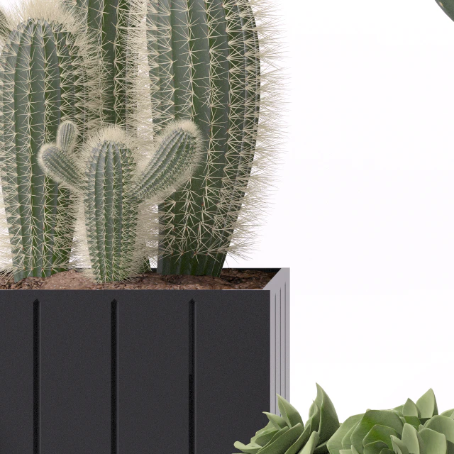 Contemporary houseplants 2 — Скачать