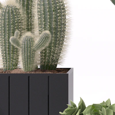Contemporary houseplants 2 — Вид 2