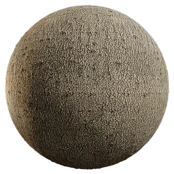 nordic forest tree bark spruce 001 — Descargar