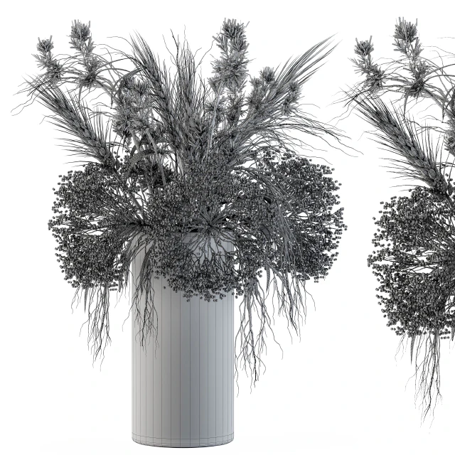 Dry Plants Set 08 — Descargar